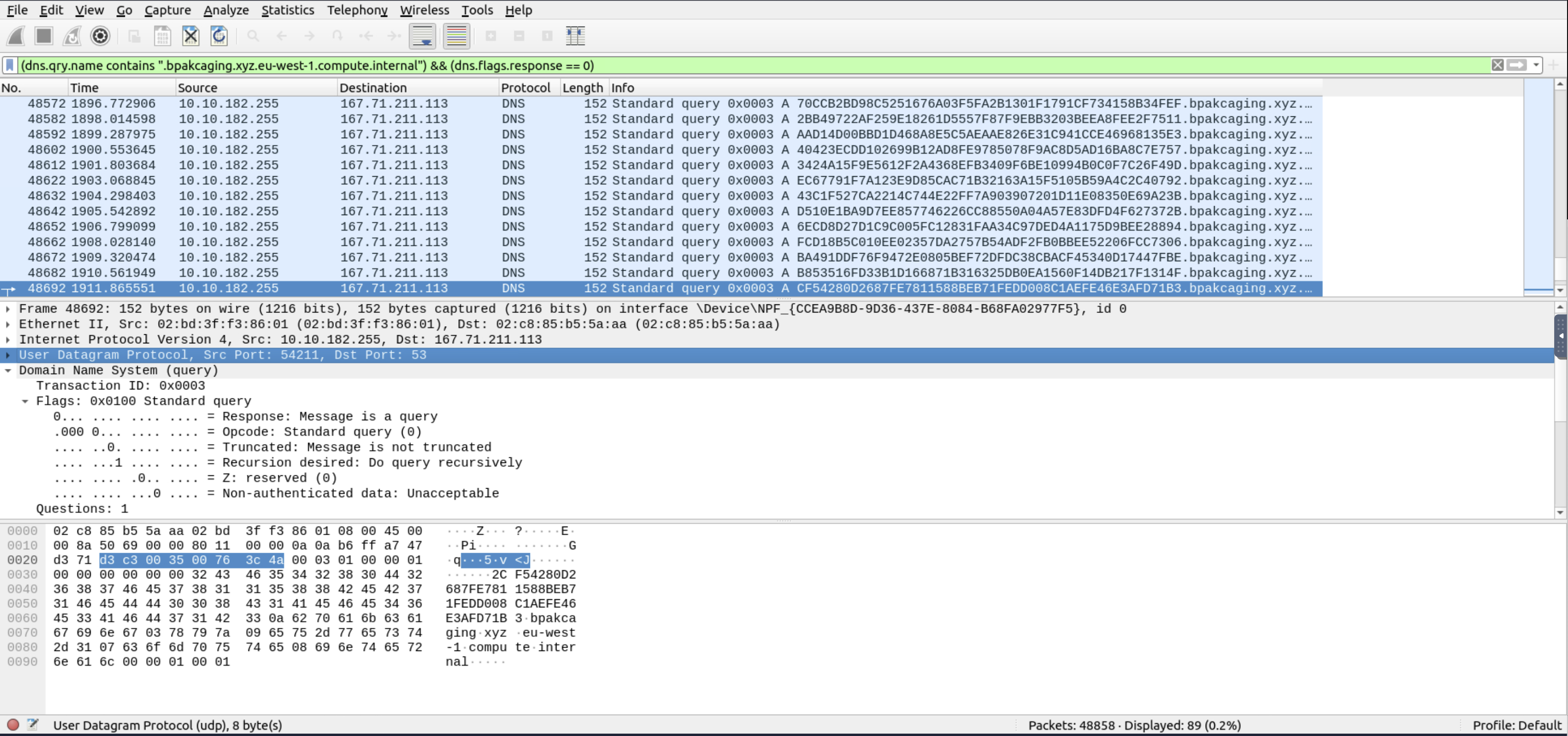 Wireshark showing DNS queries to hex-prefixed subdomains of bpakcaging.xyz.eu-west-1.compute.internal — the exfiltration traffic made visible by display filter