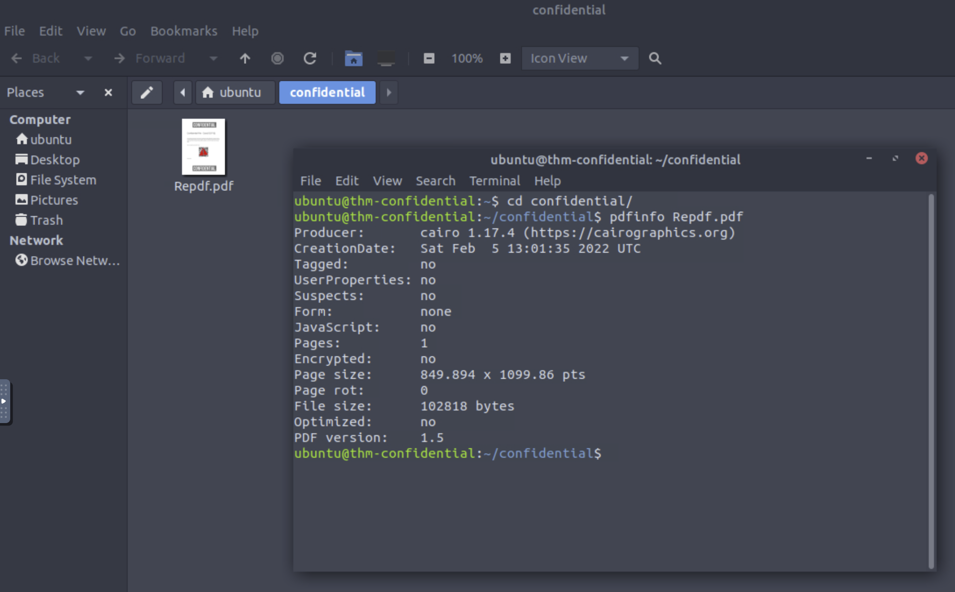 pdfinfo output — Producer: cairo, 1 page, not encrypted