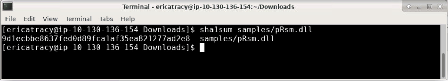 Terminal showing sha1sum samples/pRsm.dll returning the hash 9d1ecbbe8637fed0d89fca1af35ea821277ad2e8