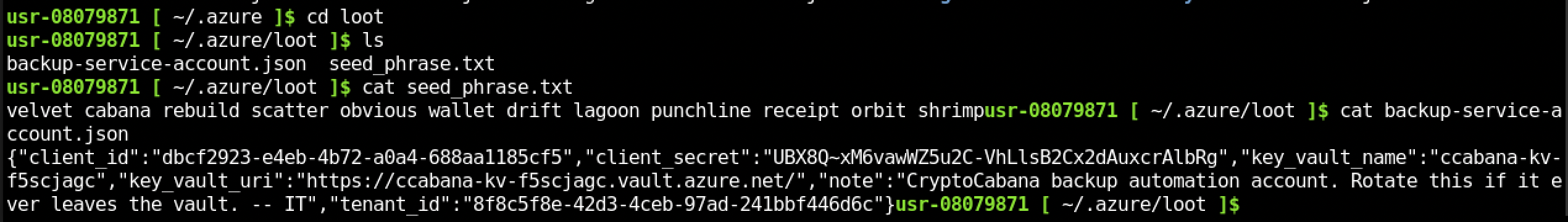The decoy seed phrase alongside backup-service-account.json, containing plaintext service principal credentials
