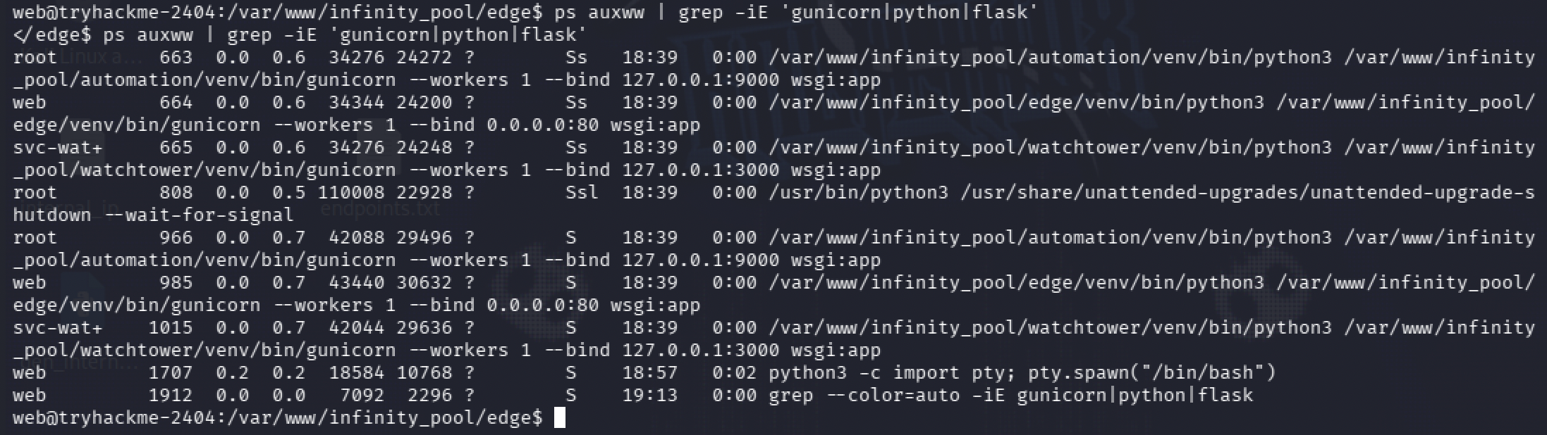 ps auxww revealing three separate gunicorn services: edge, watchtower, and automation, the last one running as root