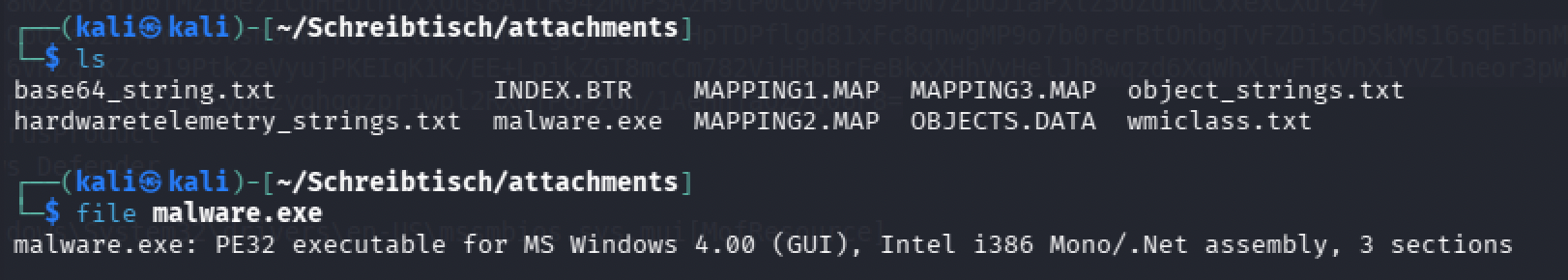 Listing the extracted files and running file against malware.exe, confirming a PE32 .NET assembly