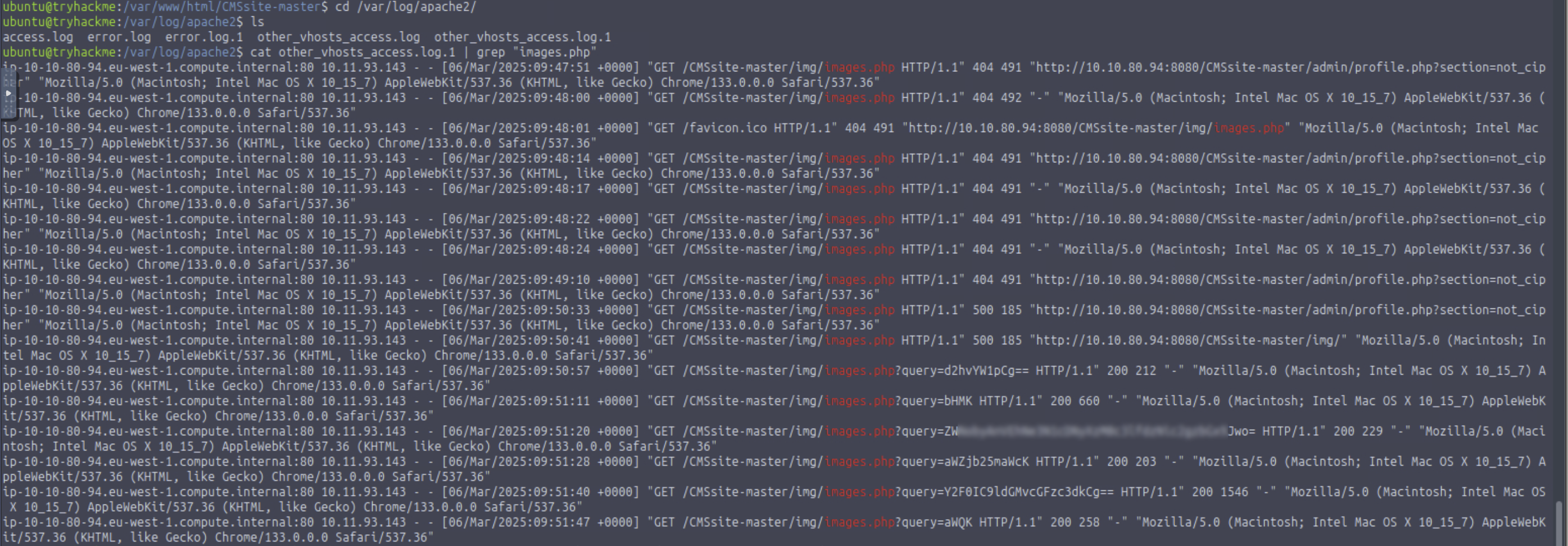 grep output showing requests to images.php progressing from 404 to 500 to 200