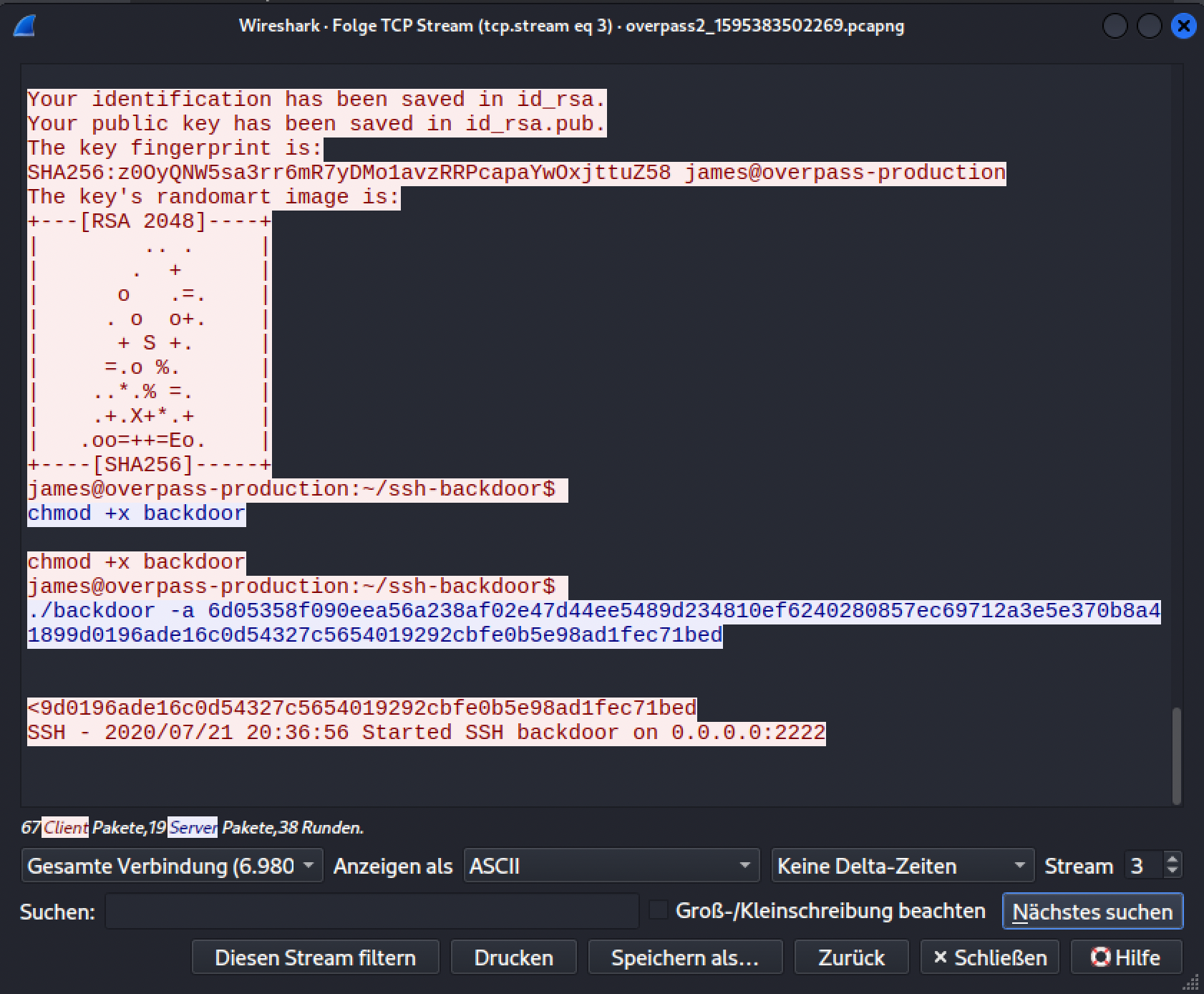 The attacker's stream continuing: ssh-keygen generating id_rsa, chmod +x backdoor, and ./backdoor -a <hash> starting an SSH backdoor on port 2222