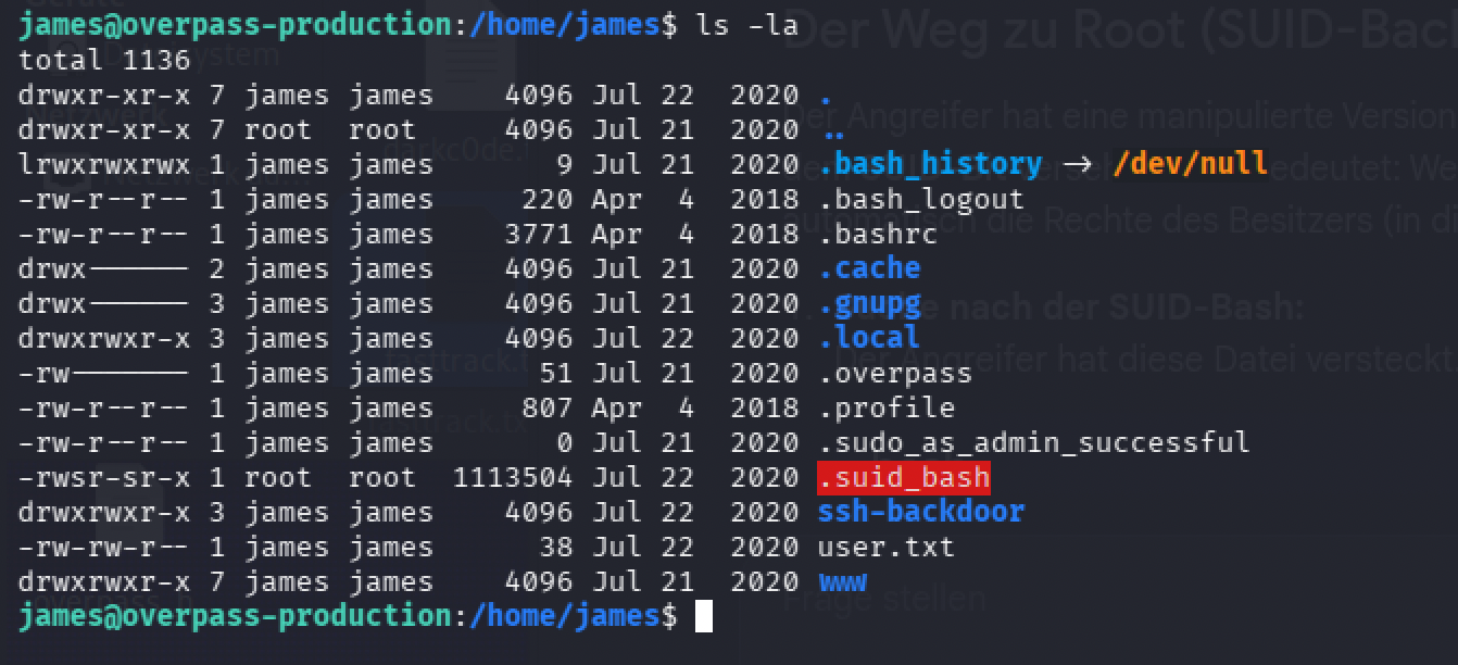 ls -la in james's home directory, highlighting a large SUID-root executable named .suid_bash