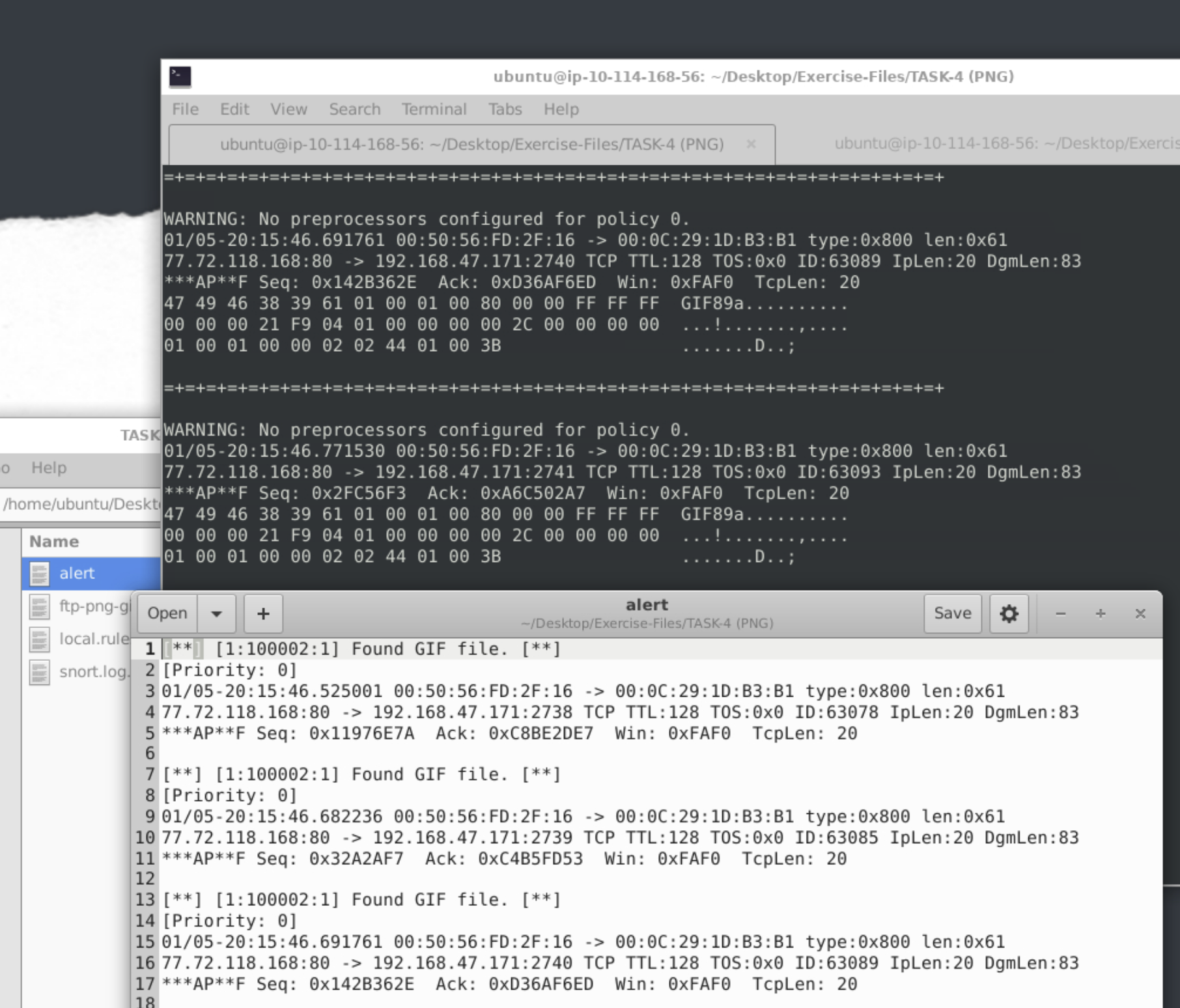 Alert output showing detected GIF files
