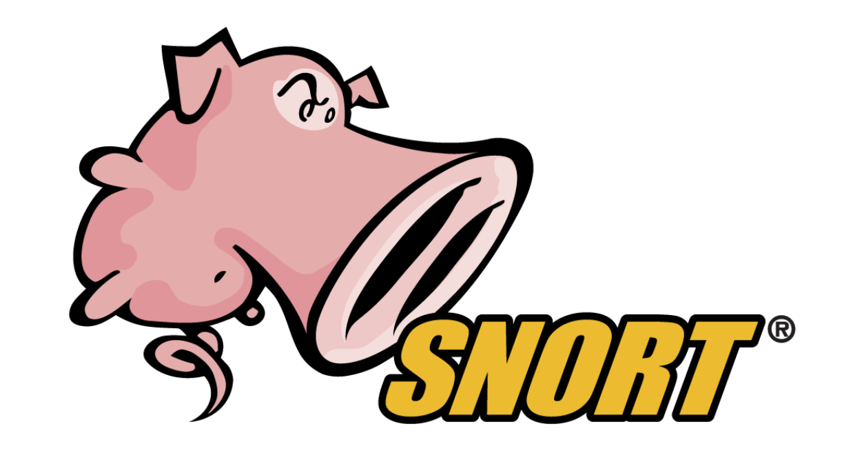 Snort Challenge - Live Attacks
